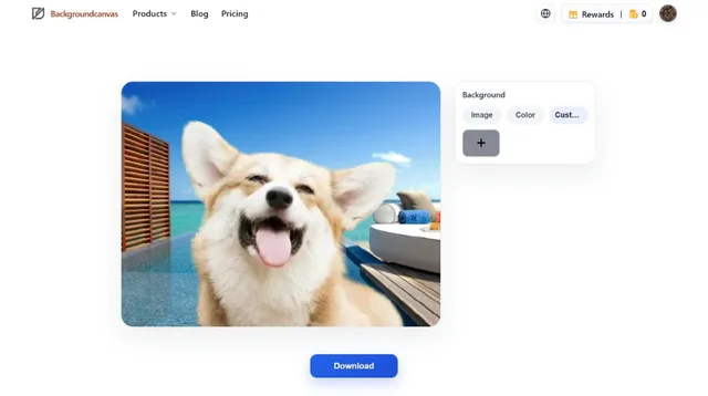 BackgroundCanvas.app desktop background swap tool for e-commerce product photos